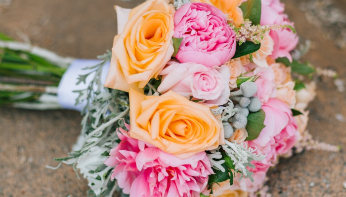 实测教程”开心武汉花确实真的有挂”其实确实有挂