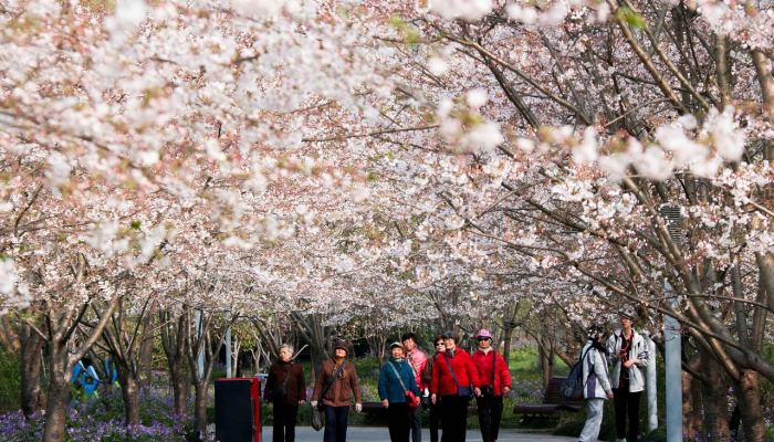 万能开挂辅助“wepoker辅助透视软件使用”(透视)其实确实有挂