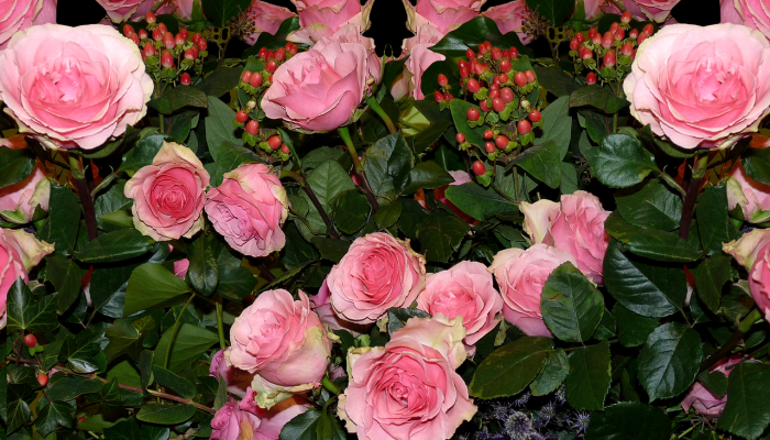 实测教程”玫瑰大厅确实真的有挂”其实确实有挂