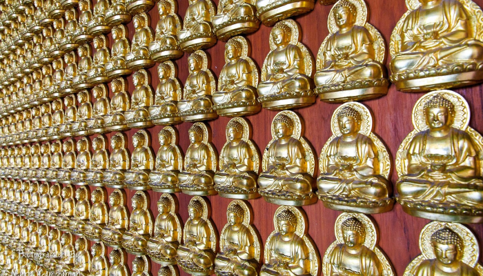 辅助开挂神器“微乐云南麻将开挂神器”(透视)其实确实有挂