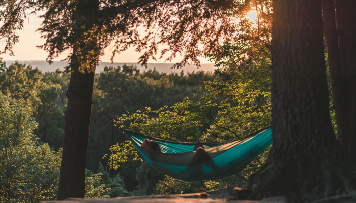 辅助开挂神器“来趣广西麻将到底有没有挂”其实确实有挂