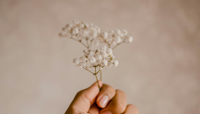 万能开挂辅助“花花生活圈挂怎么开”(透视)其实确实有挂